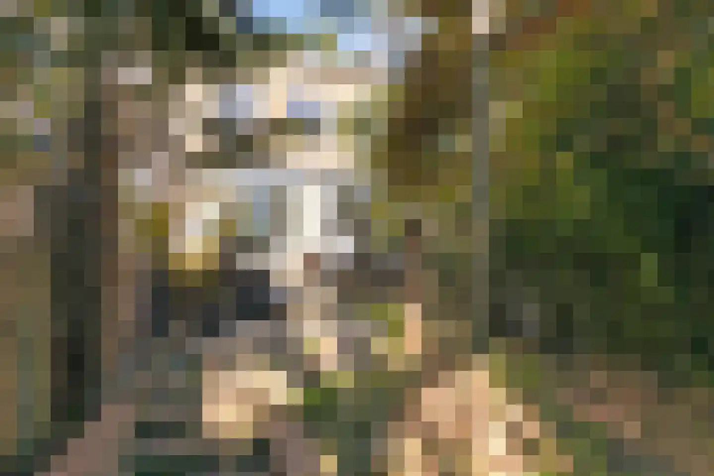 Rembrandtlaan 49 Veenendaal thumbnail 38