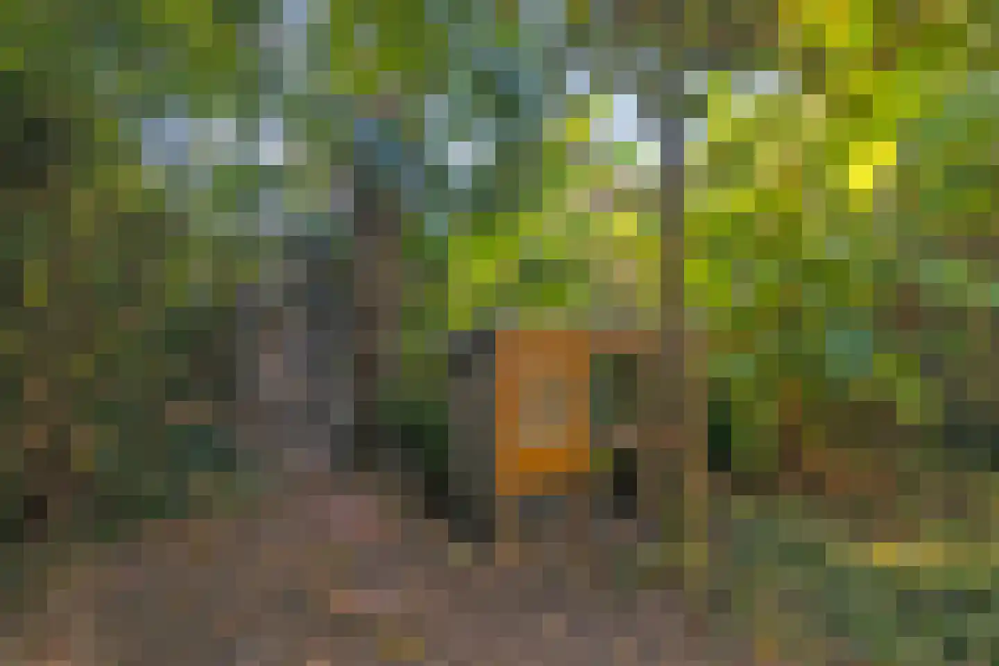 Rembrandtlaan 49 Veenendaal thumbnail 39