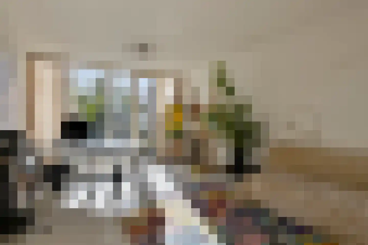 Rembrandtlaan 49 Veenendaal thumbnail 4