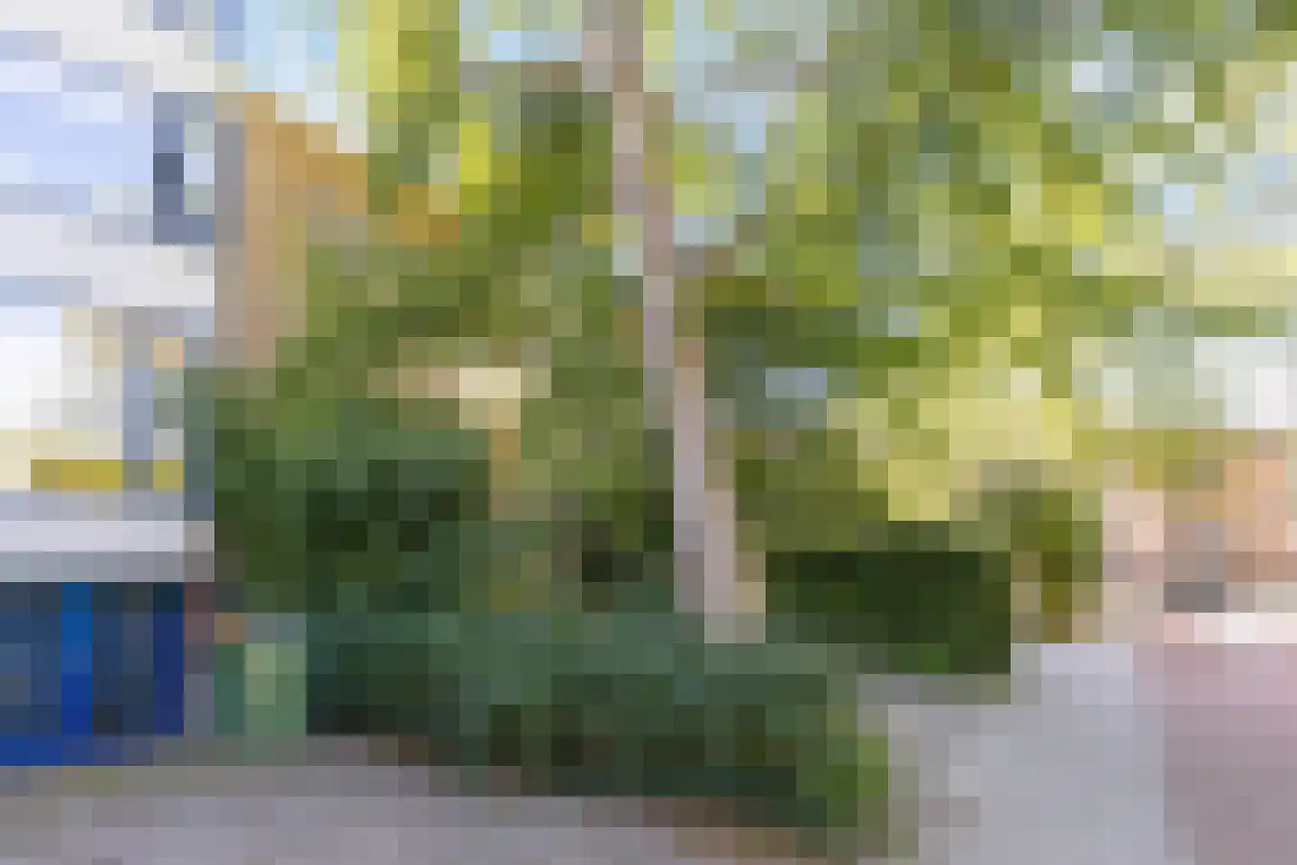 Rembrandtlaan 49 Veenendaal thumbnail 42