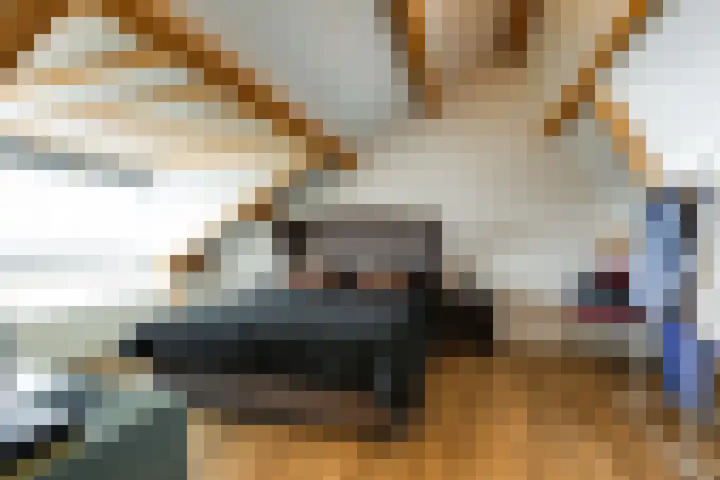 Rembrandtlaan 49 Voorschoten thumbnail 27