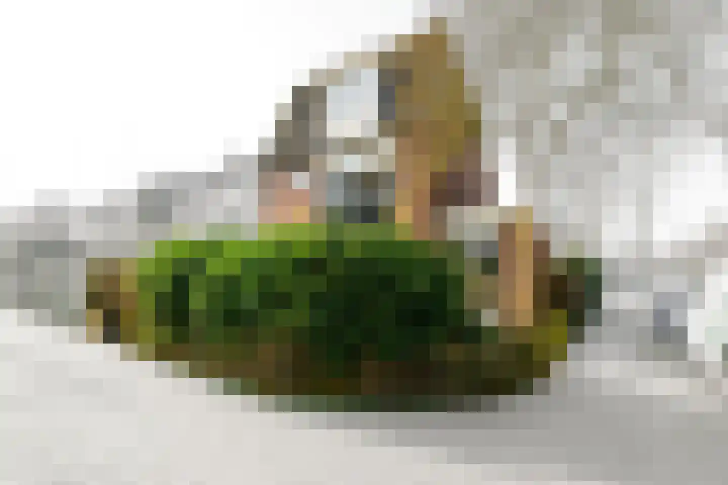 Rembrandtlaan 49 Voorschoten thumbnail 32