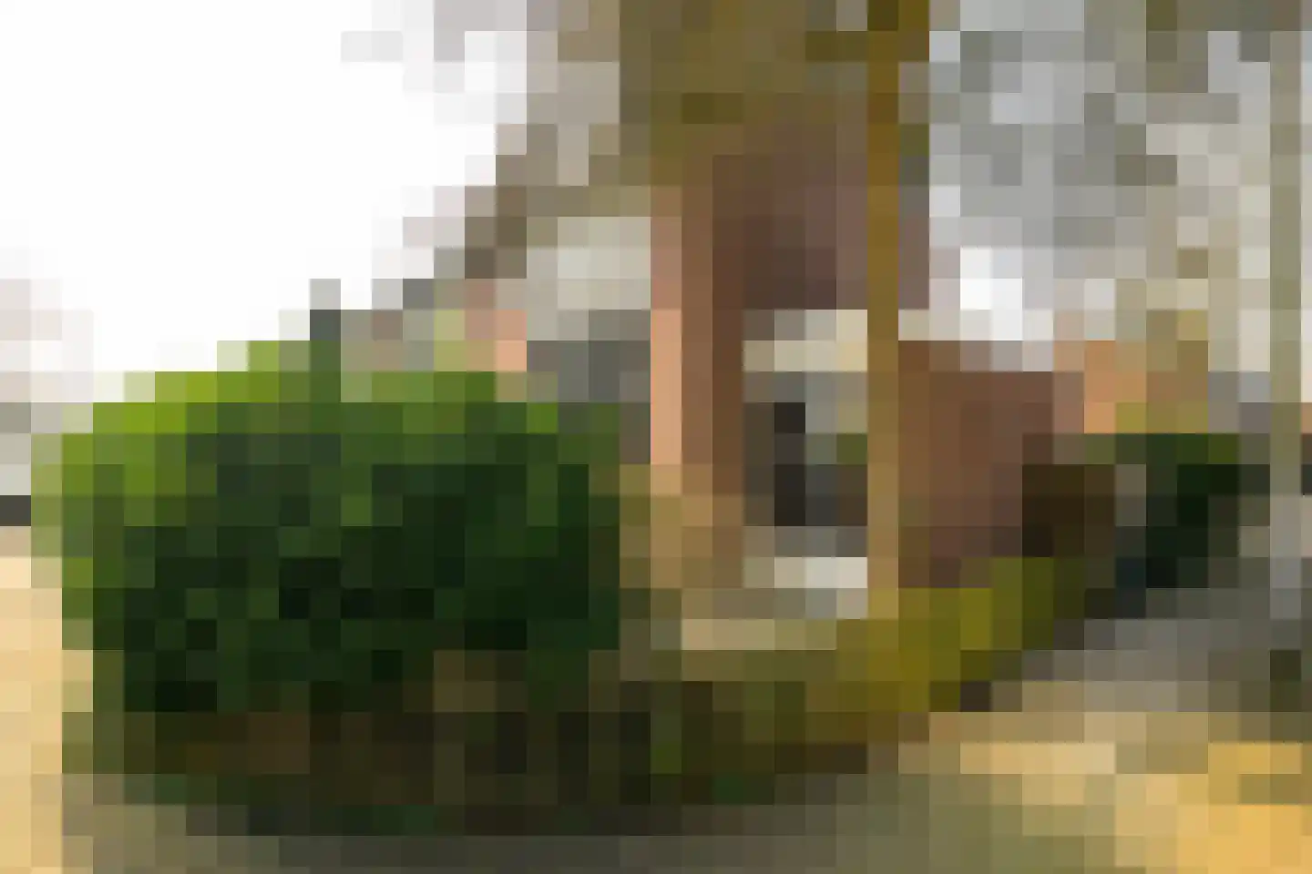 Rembrandtlaan 49 Voorschoten thumbnail 4