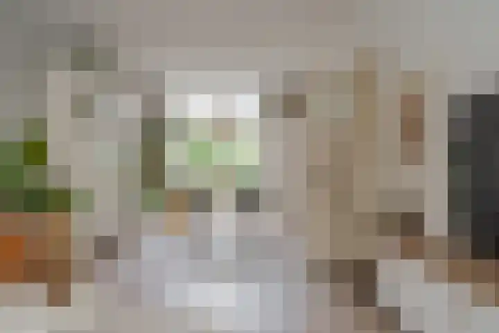 Rembrandtlaan 49 Zwolle thumbnail 10