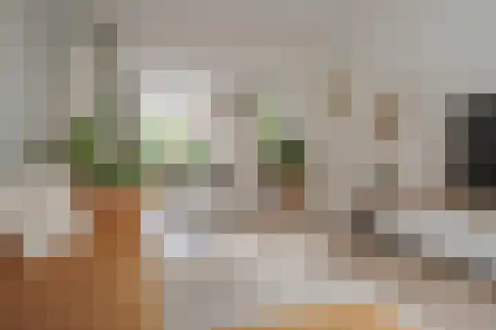 Rembrandtlaan 49 Zwolle thumbnail 13