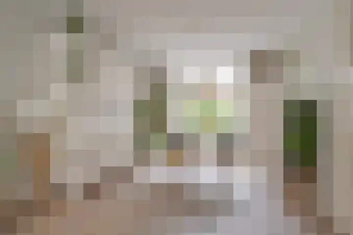 Rembrandtlaan 49 Zwolle thumbnail 15