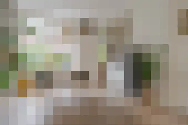 Rembrandtlaan 49 Zwolle thumbnail 16
