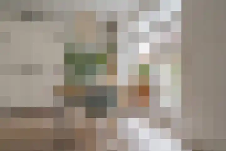 Rembrandtlaan 49 Zwolle thumbnail 17
