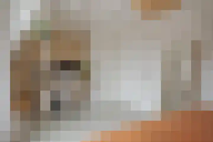 Rembrandtlaan 49 Zwolle thumbnail 27