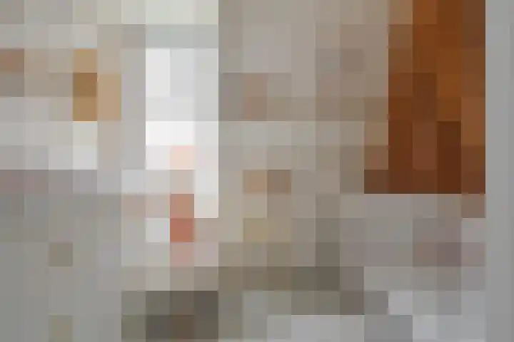 Rembrandtlaan 49 Zwolle thumbnail 31
