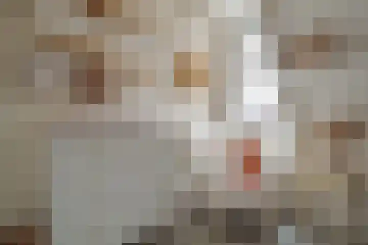 Rembrandtlaan 49 Zwolle thumbnail 33