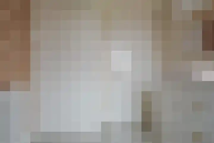 Rembrandtlaan 49 Zwolle thumbnail 34