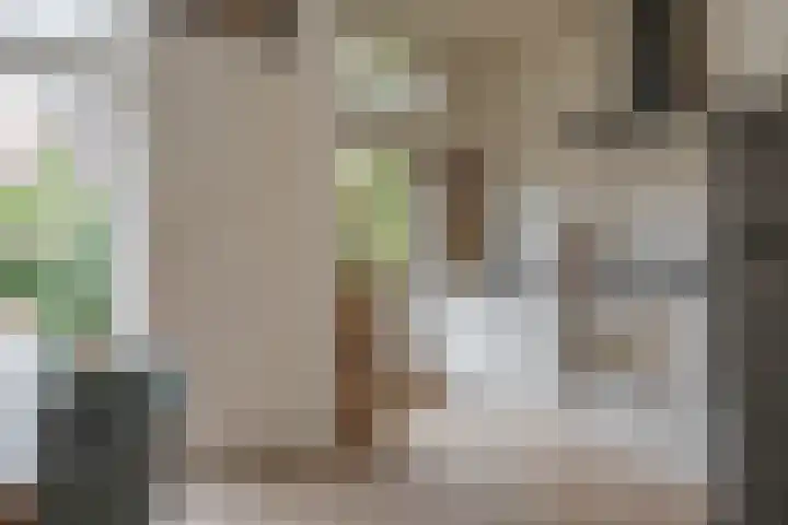 Rembrandtlaan 49 Zwolle thumbnail 36