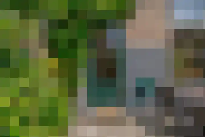Rembrandtlaan 49 Zwolle thumbnail 37