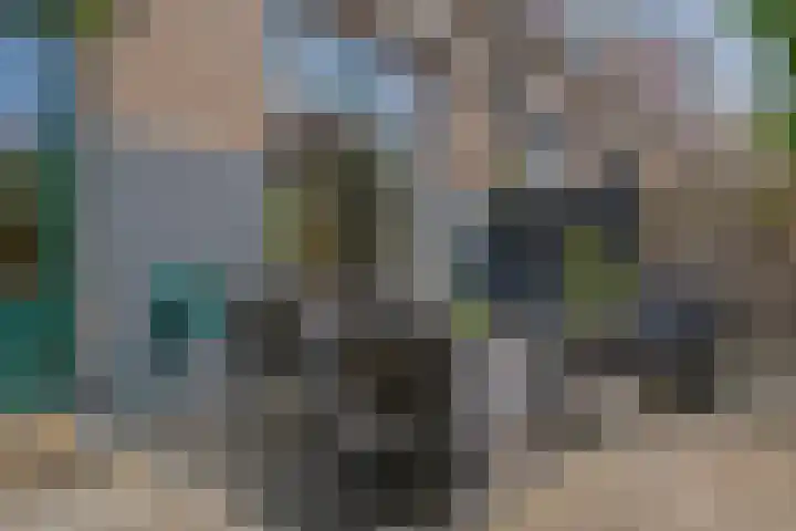 Rembrandtlaan 49 Zwolle thumbnail 38