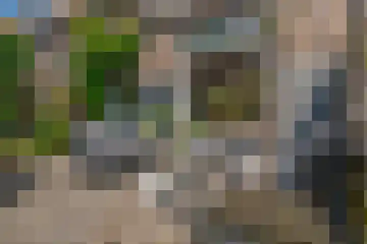 Rembrandtlaan 49 Zwolle thumbnail 4