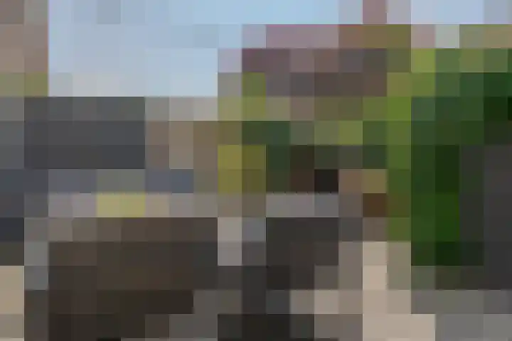 Rembrandtlaan 49 Zwolle thumbnail 40
