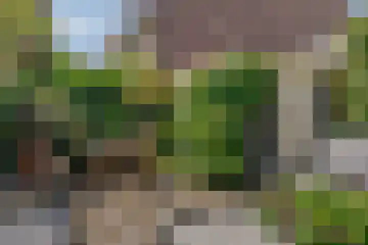 Rembrandtlaan 49 Zwolle thumbnail 42