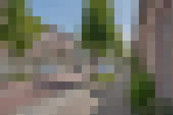 Rembrandtlaan 49 Zwolle thumbnail 46