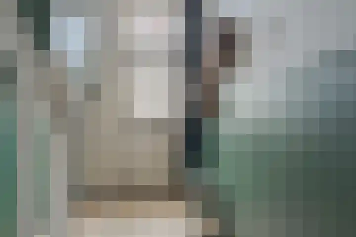 Rembrandtlaan 49 Zwolle thumbnail 8
