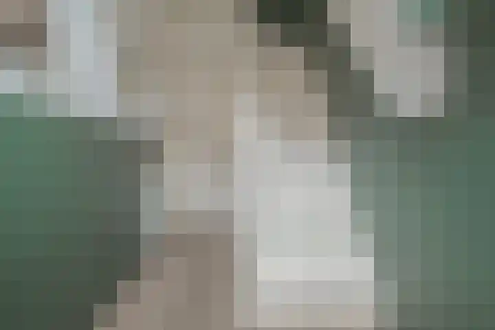 Rembrandtlaan 49 Zwolle thumbnail 9