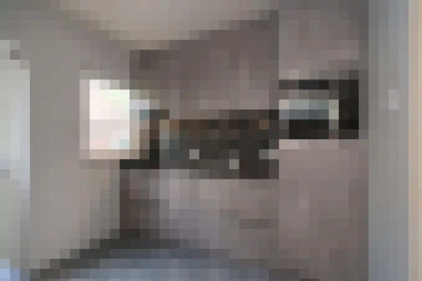 Rembrandtlaan 5 Almelo thumbnail 4