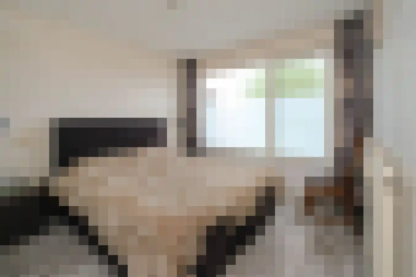 Rembrandtlaan 5 Almelo thumbnail 6