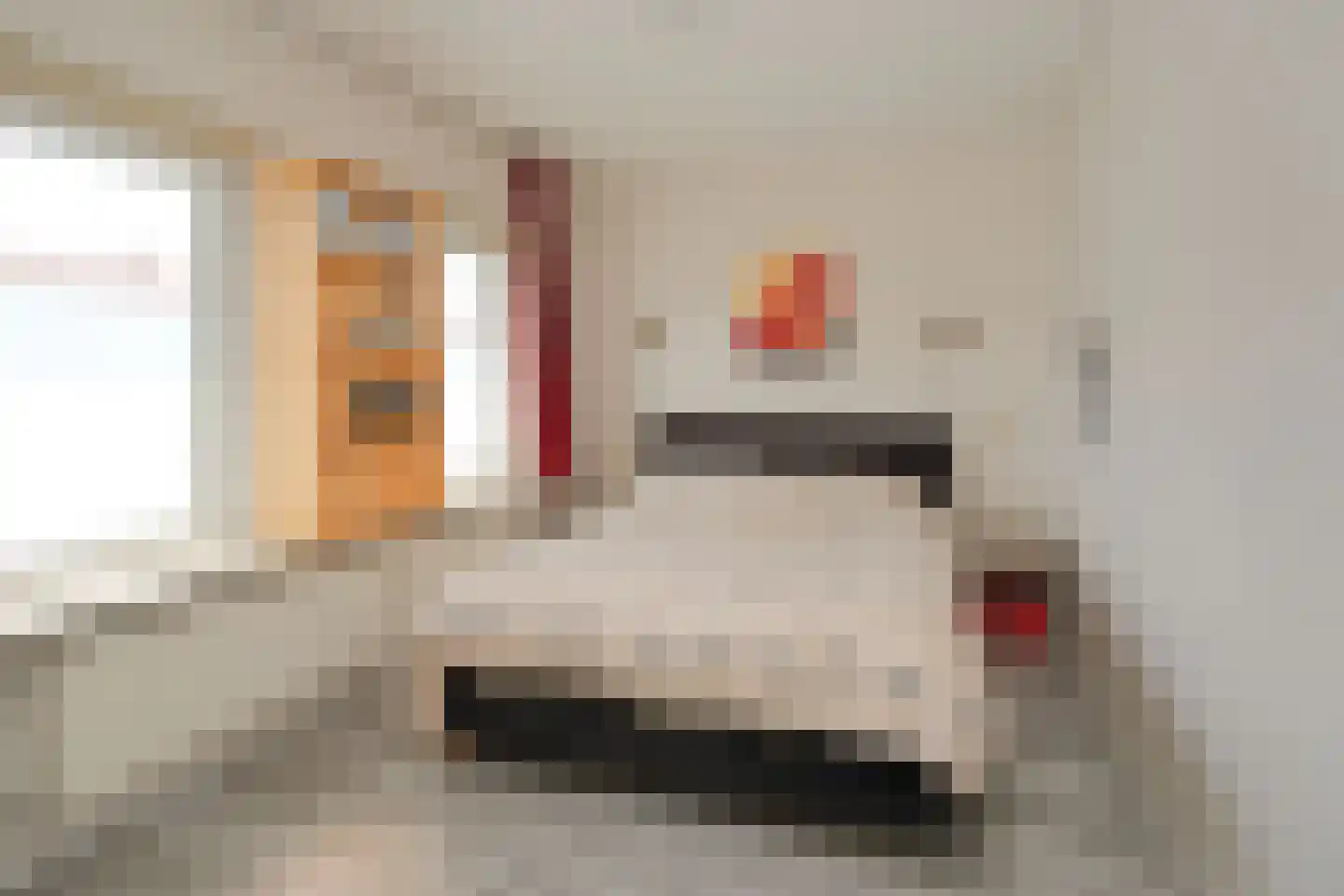 Rembrandtlaan 5 Almelo thumbnail 7