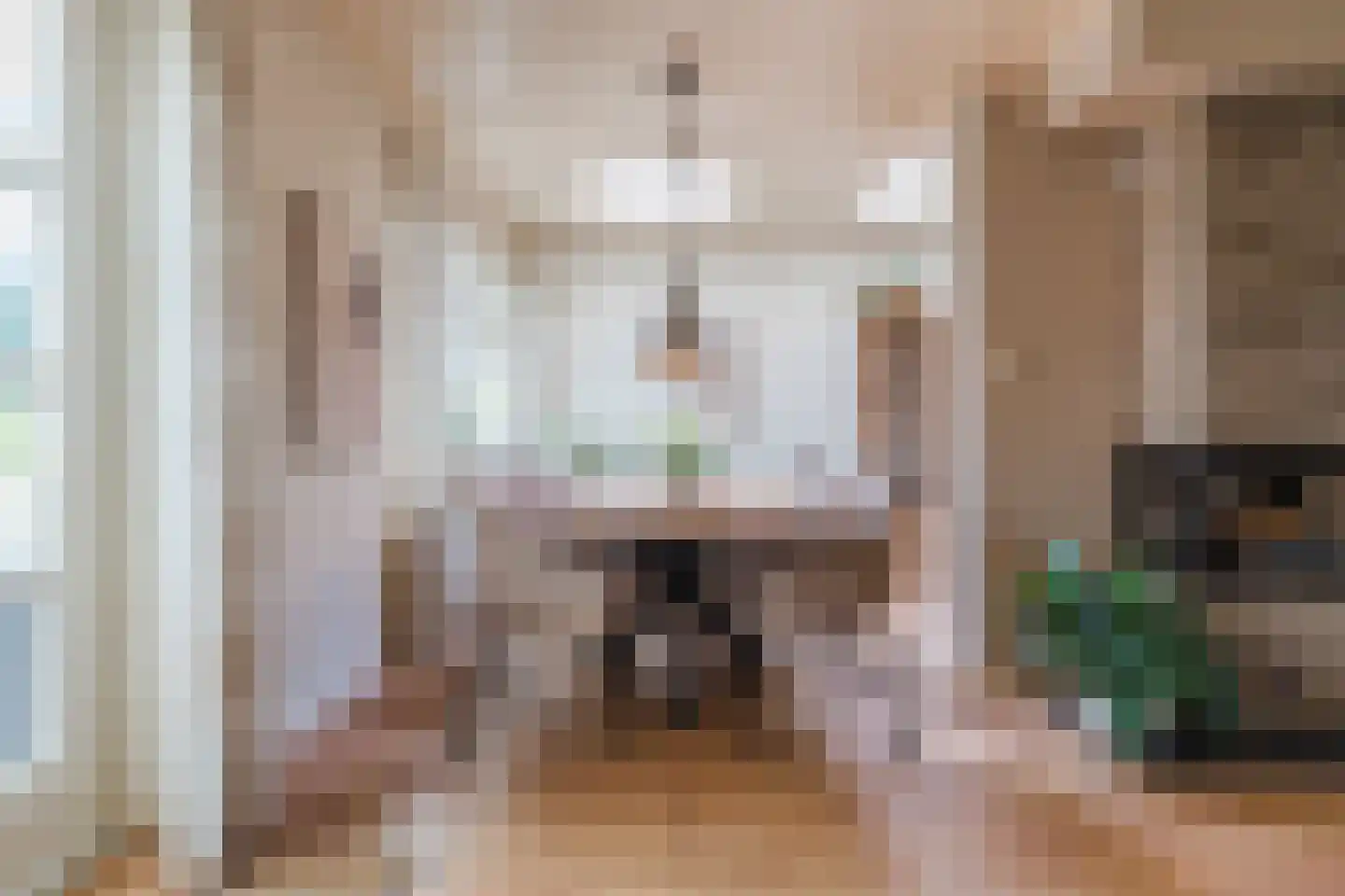 Rembrandtlaan 5 Heeze thumbnail 11