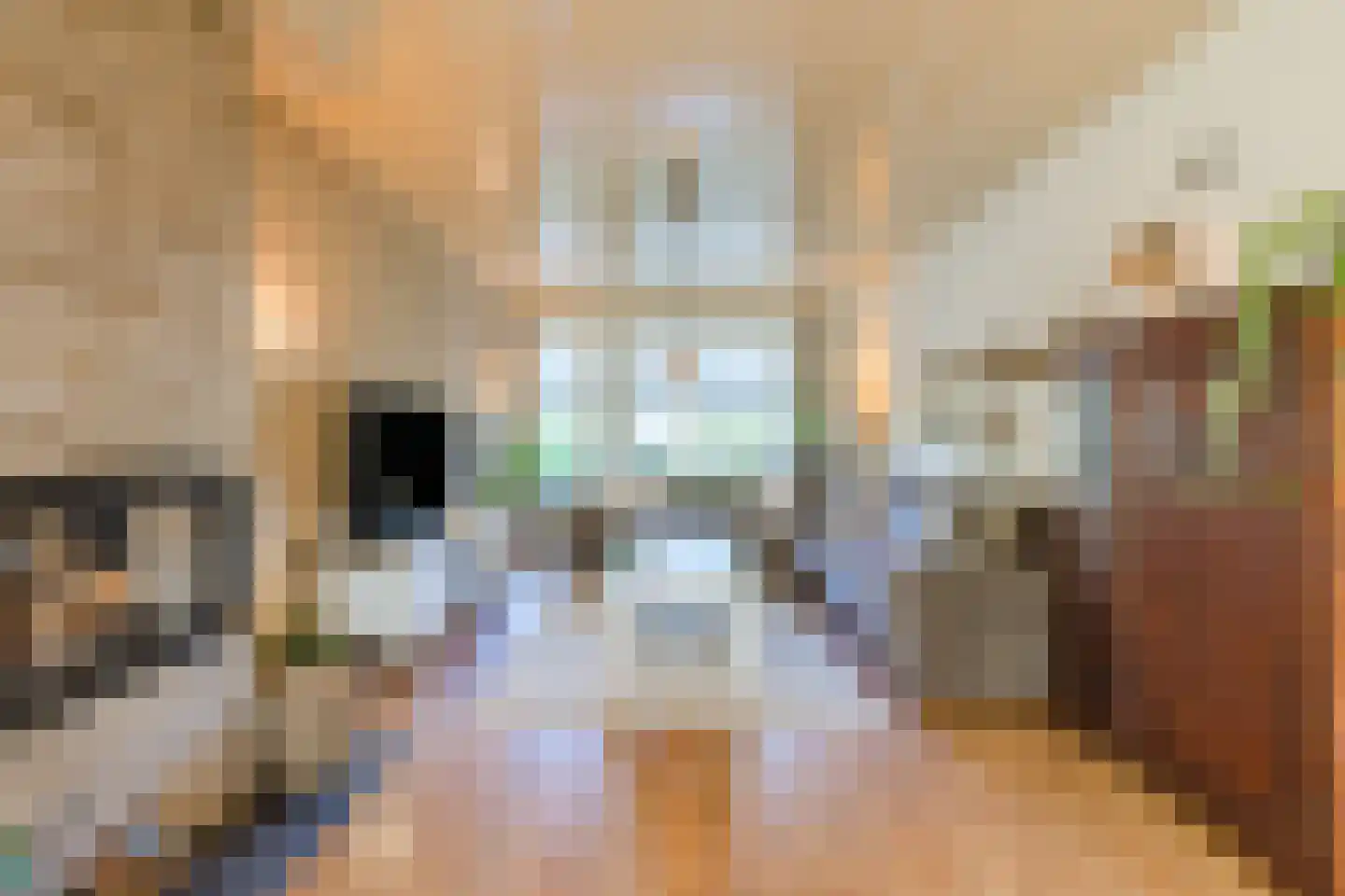 Rembrandtlaan 5 Heeze thumbnail 4