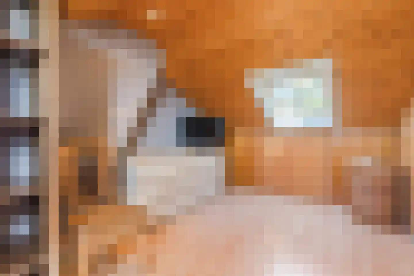 Rembrandtlaan 5 Heeze thumbnail 43