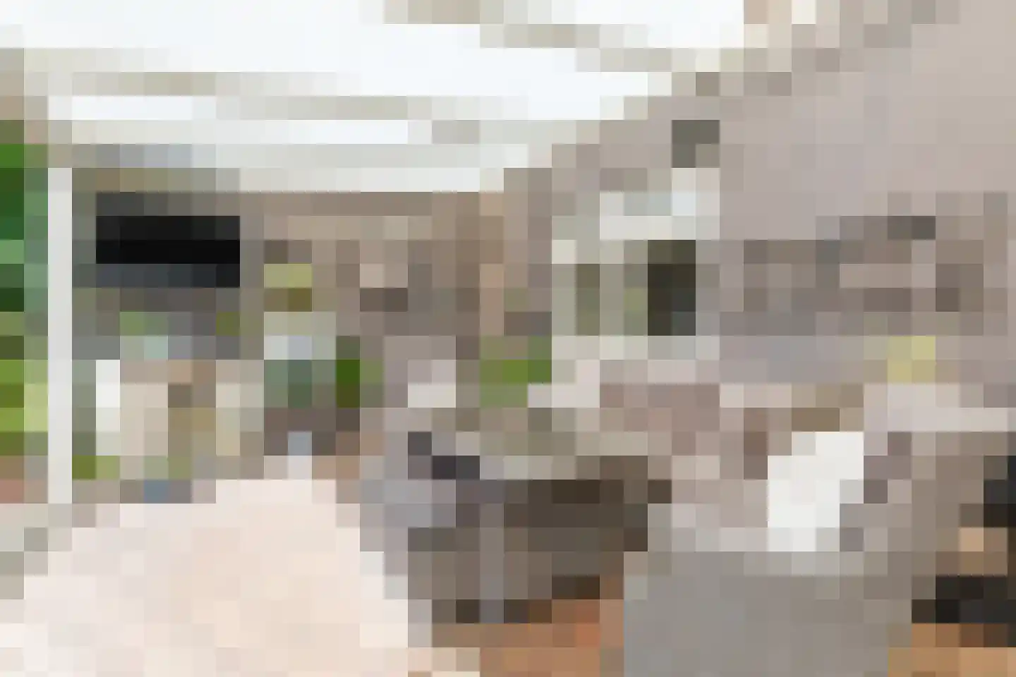Rembrandtlaan 5 Heeze thumbnail 47