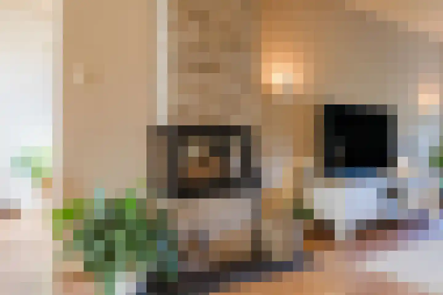 Rembrandtlaan 5 Heeze thumbnail 5