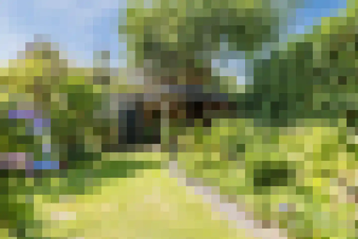 Rembrandtlaan 5 Heeze thumbnail 51