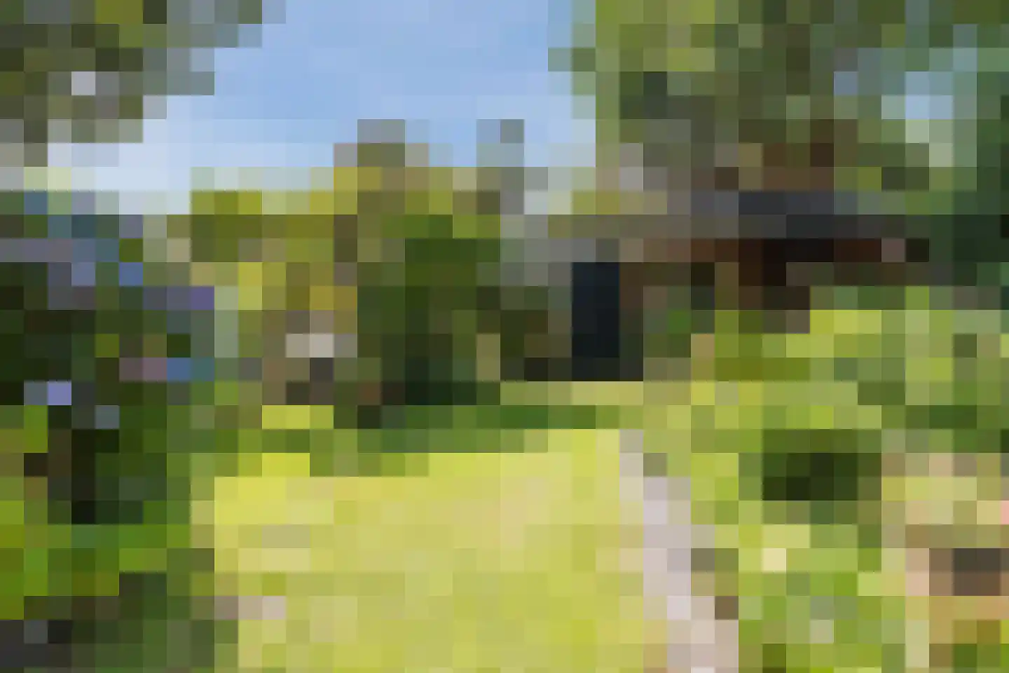 Rembrandtlaan 5 Heeze thumbnail 52