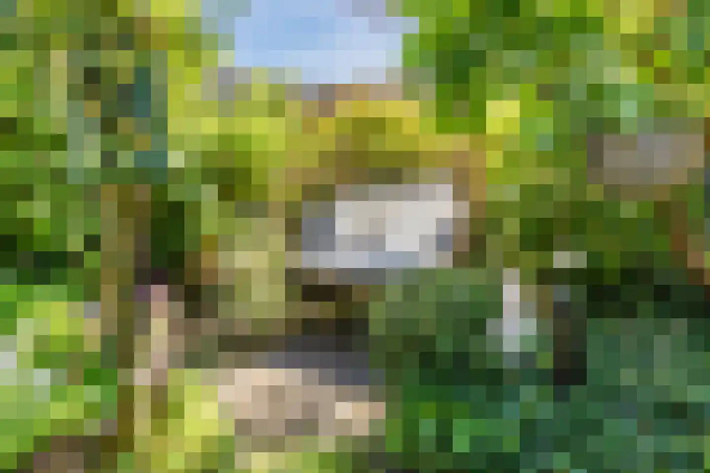 Rembrandtlaan 5 Heeze thumbnail 54