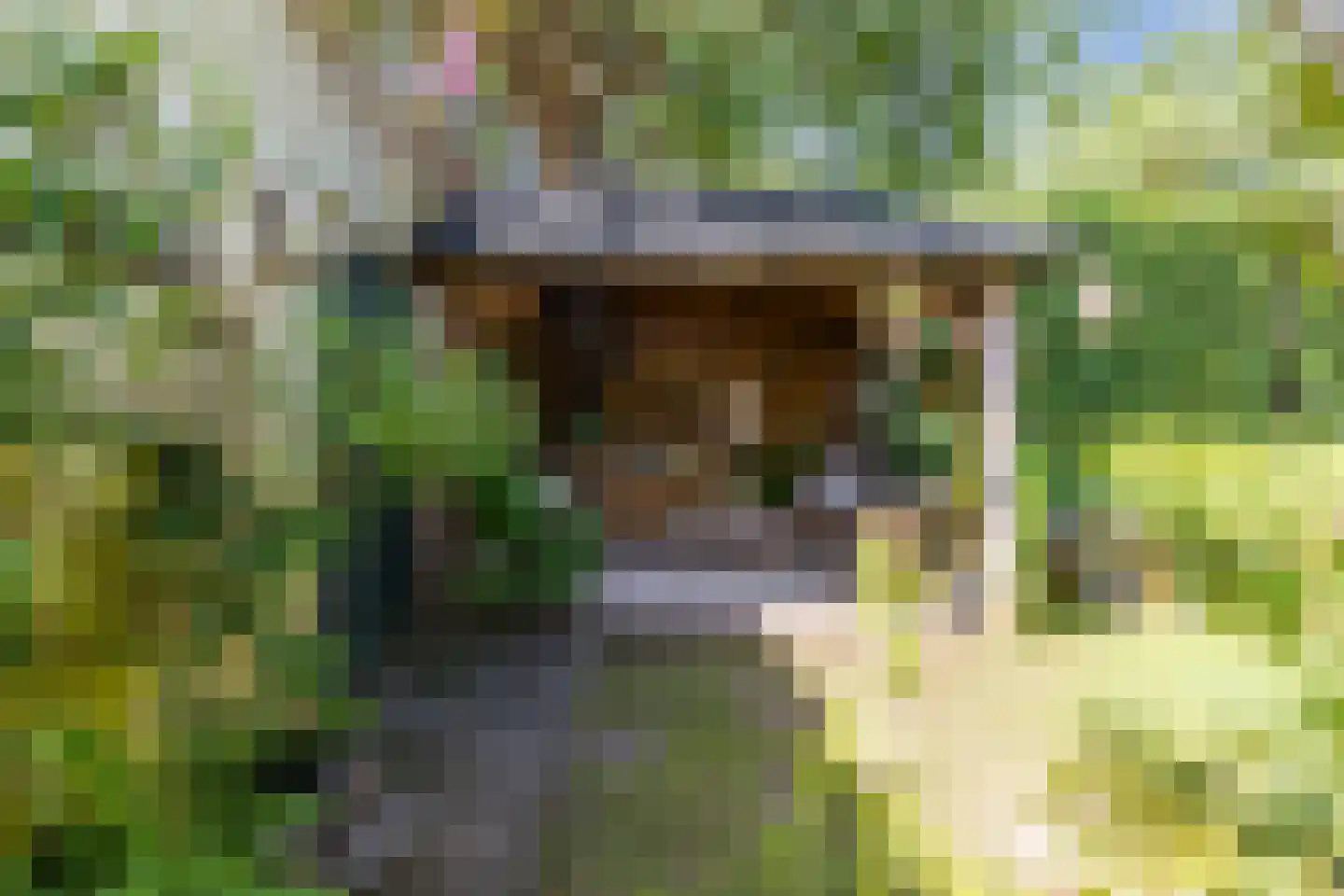 Rembrandtlaan 5 Heeze thumbnail 56