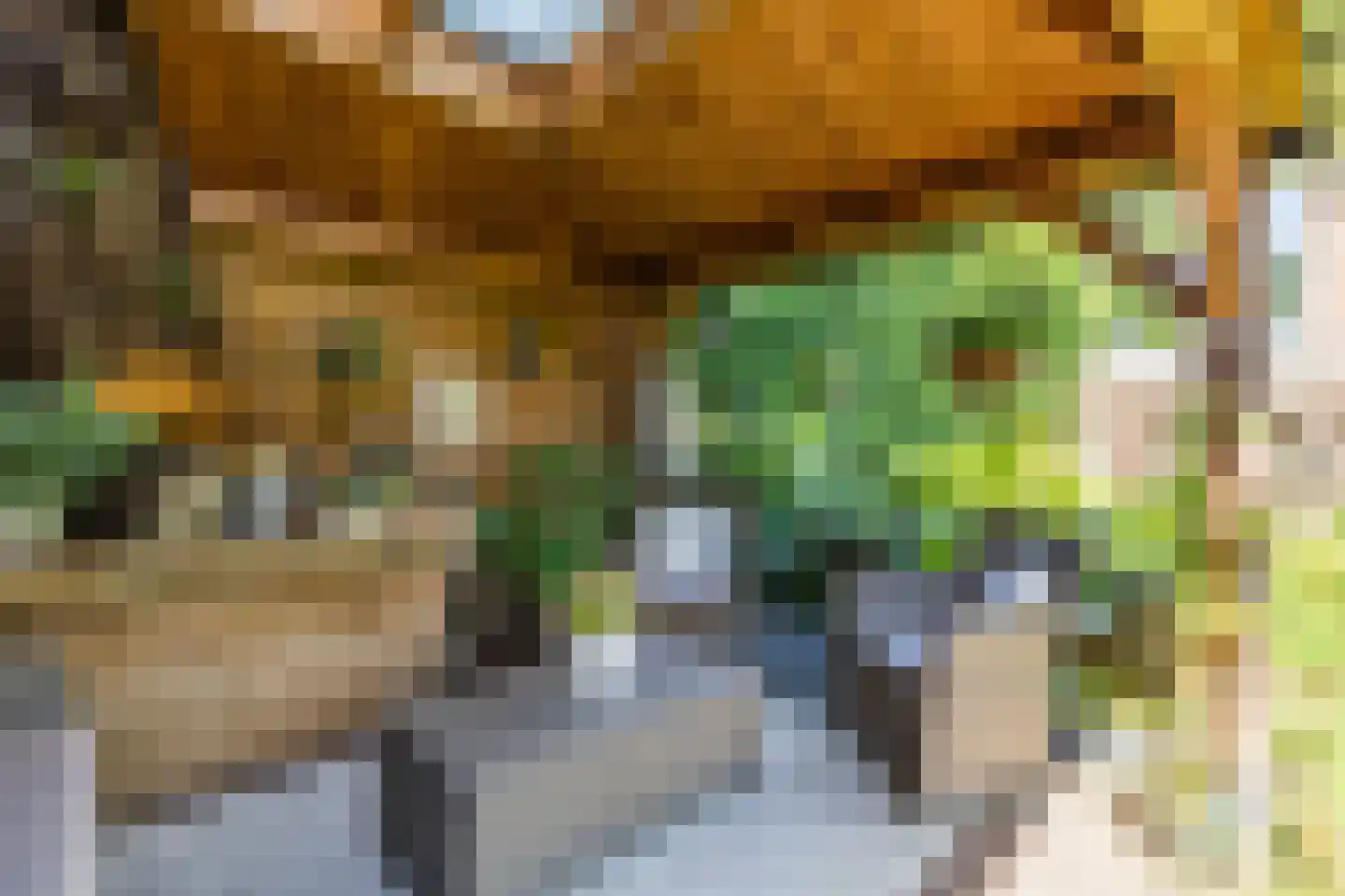 Rembrandtlaan 5 Heeze thumbnail 57
