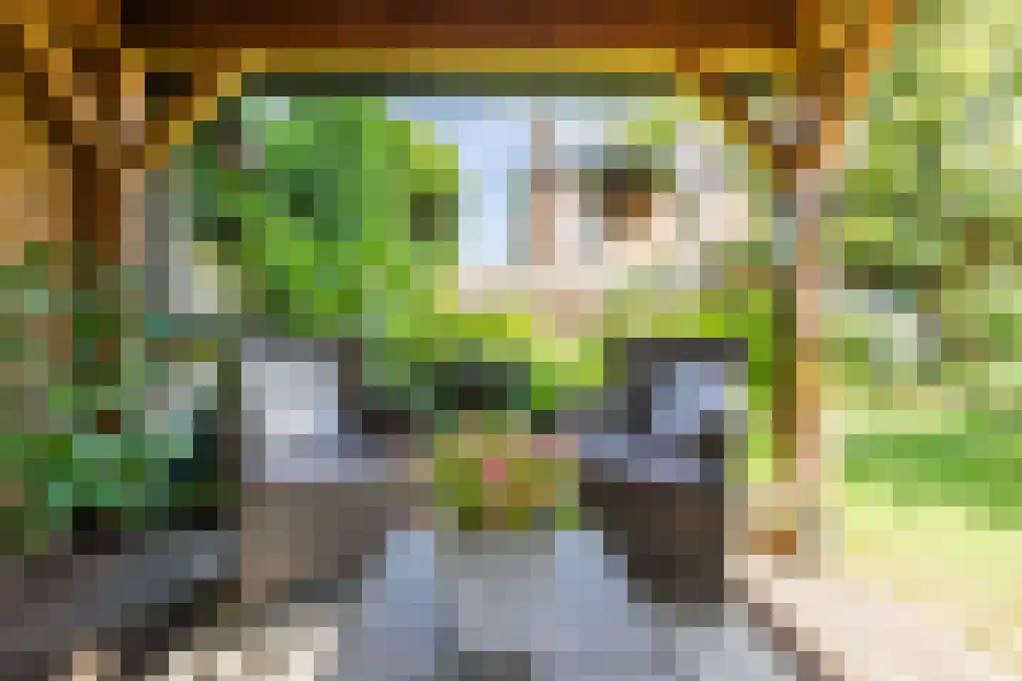 Rembrandtlaan 5 Heeze thumbnail 58