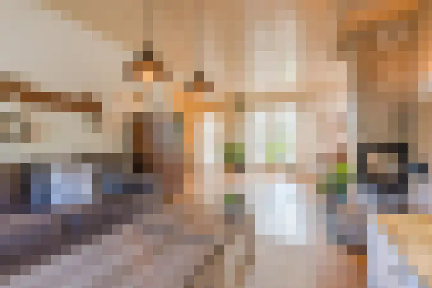 Rembrandtlaan 5 Heeze thumbnail 6