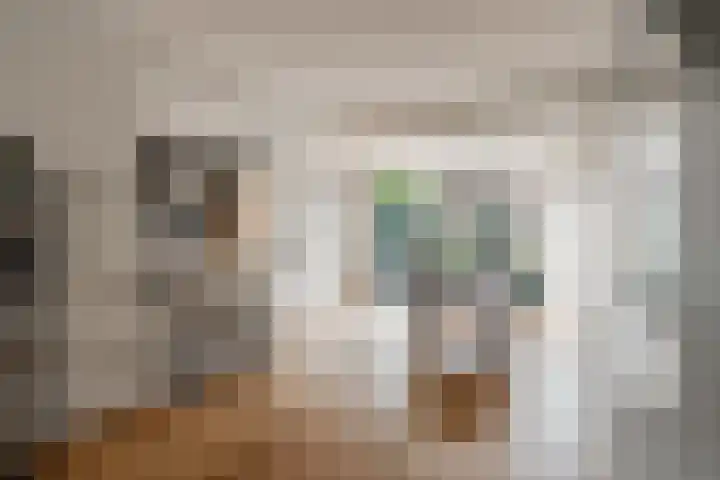 Rembrandtlaan 5 IJmuiden thumbnail 10