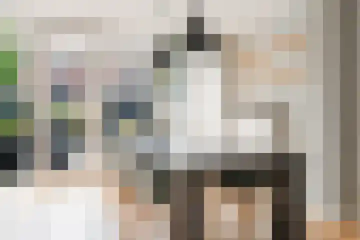 Rembrandtlaan 5 IJmuiden thumbnail 12