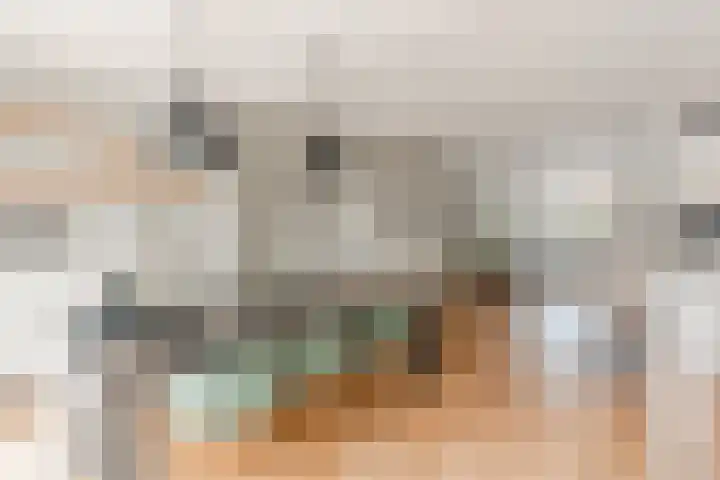 Rembrandtlaan 5 IJmuiden thumbnail 13