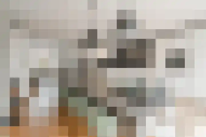 Rembrandtlaan 5 IJmuiden thumbnail 18