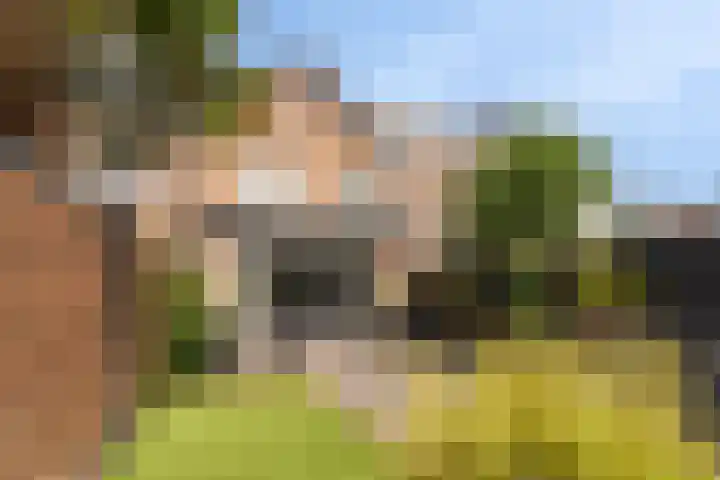 Rembrandtlaan 5 IJmuiden thumbnail 20