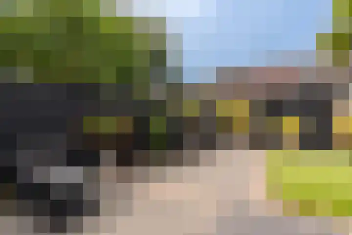 Rembrandtlaan 5 IJmuiden thumbnail 21