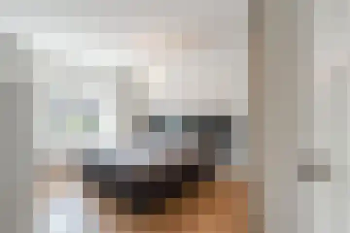 Rembrandtlaan 5 IJmuiden thumbnail 26