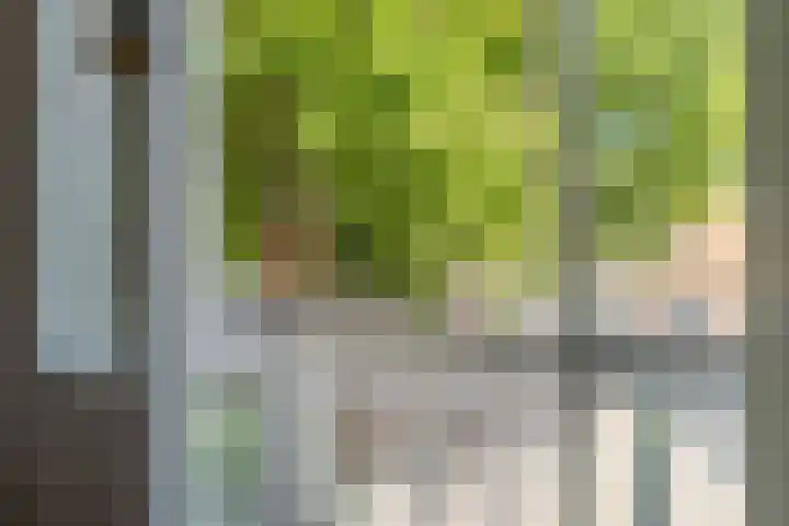 Rembrandtlaan 5 IJmuiden thumbnail 30