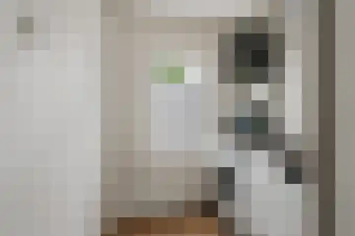 Rembrandtlaan 5 IJmuiden thumbnail 36