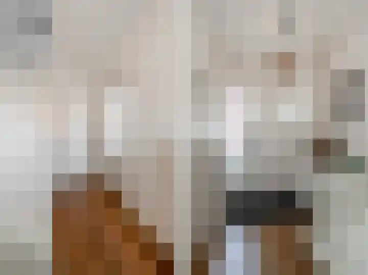Rembrandtlaan 5 IJmuiden thumbnail 4